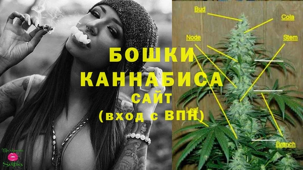 дурь Богородск