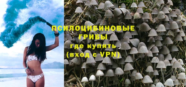 соль курить ск Богданович