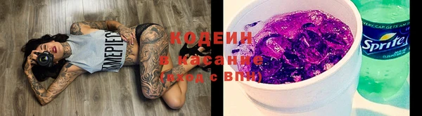 соль ск Богородицк