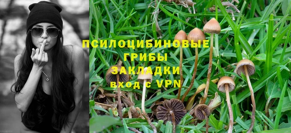 соль ск Богородицк