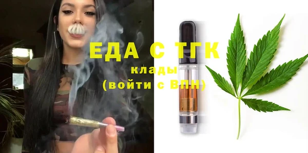 СК Сосновый Бор