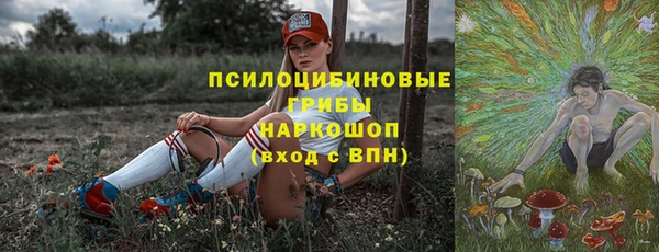 дурь Богородск