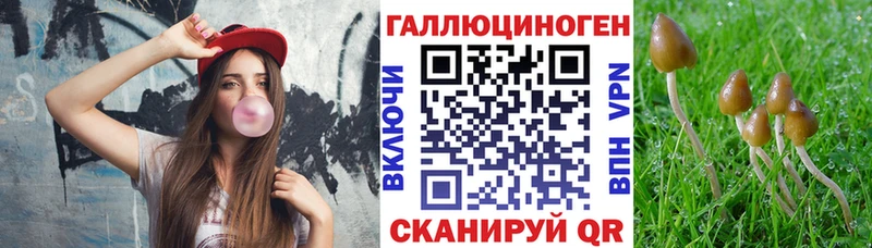 KRAKEN вход  Наро-Фоминск  Галлюциногенные грибы GOLDEN TEACHER 