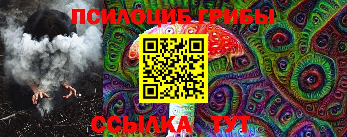 Наро-Фоминск  Псилоцибиновые грибы MAGIC MUSHROOMS  Вход с VPN 