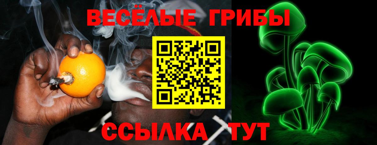 Галлюциногенные грибы Psilocybe Наро-Фоминск